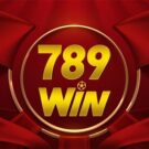 789Win93 com – Tổng hợp sự kiện hot nhất của nhà cái 789Win